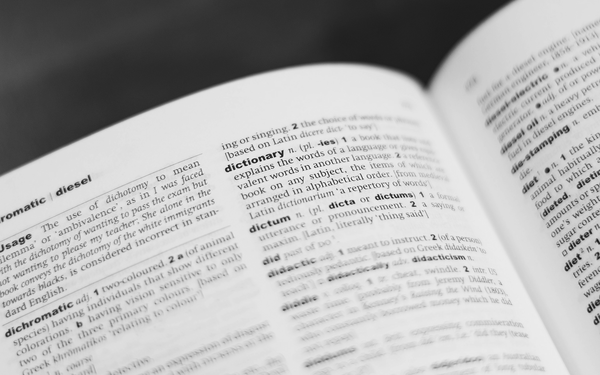 Digital Media Slang Blog Image