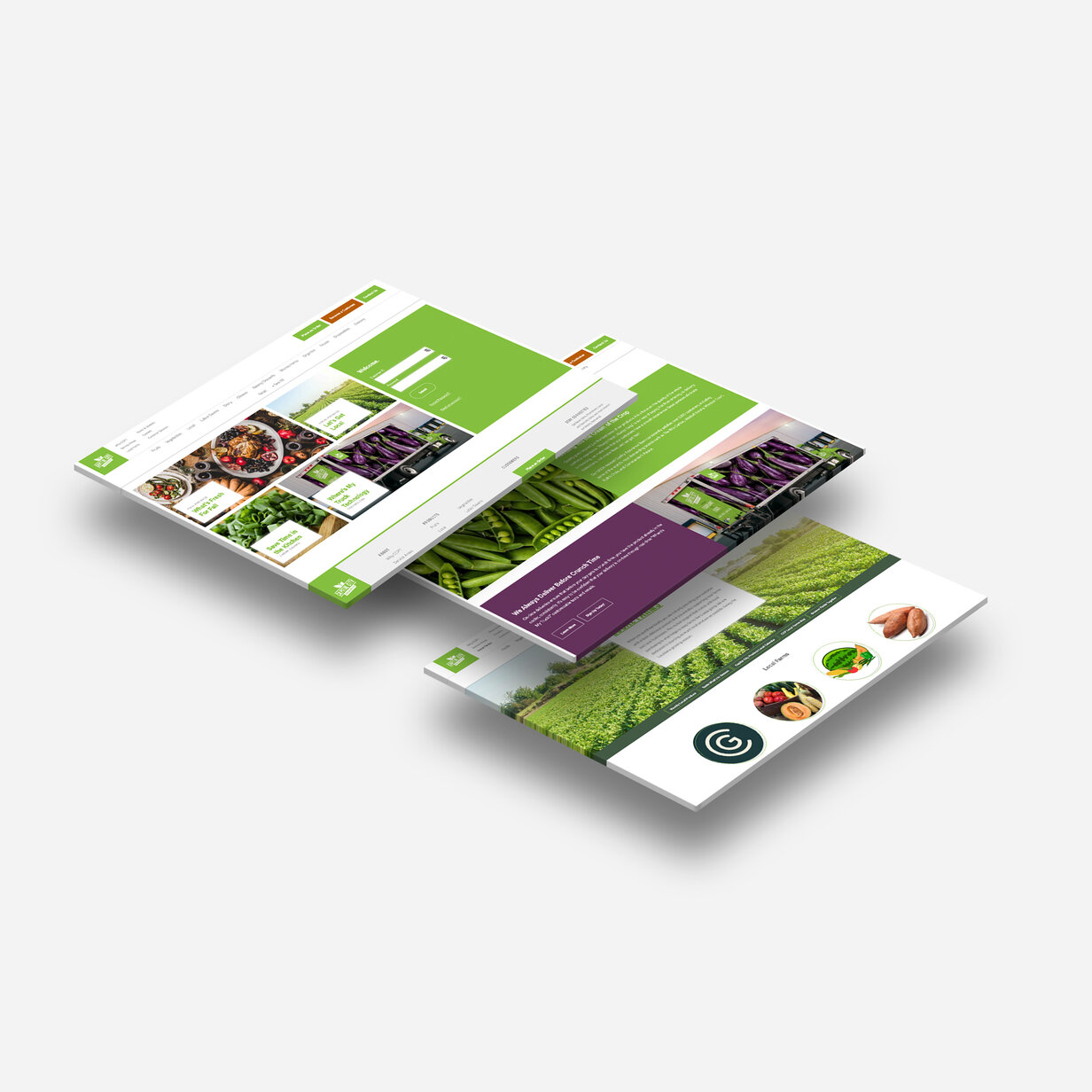 New CCP Site 3 Flat v2