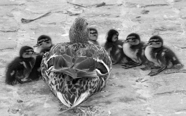 How To Identify And Communicate With Different Personalities