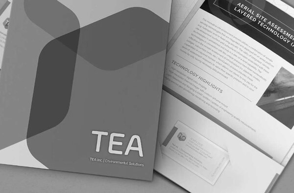 Solving Brands Toxicological And Environmental Associates