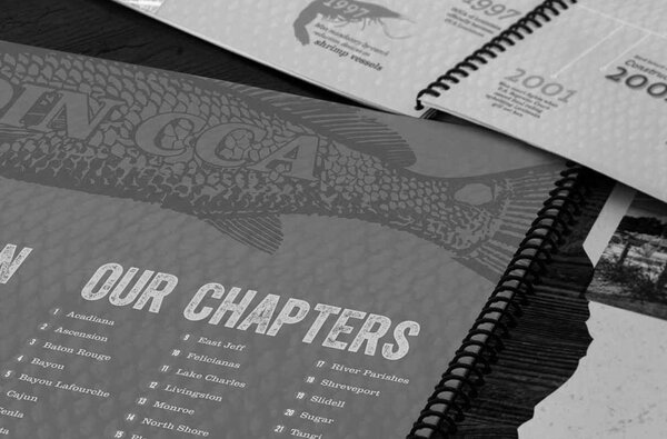 Sustaining Brands Cca