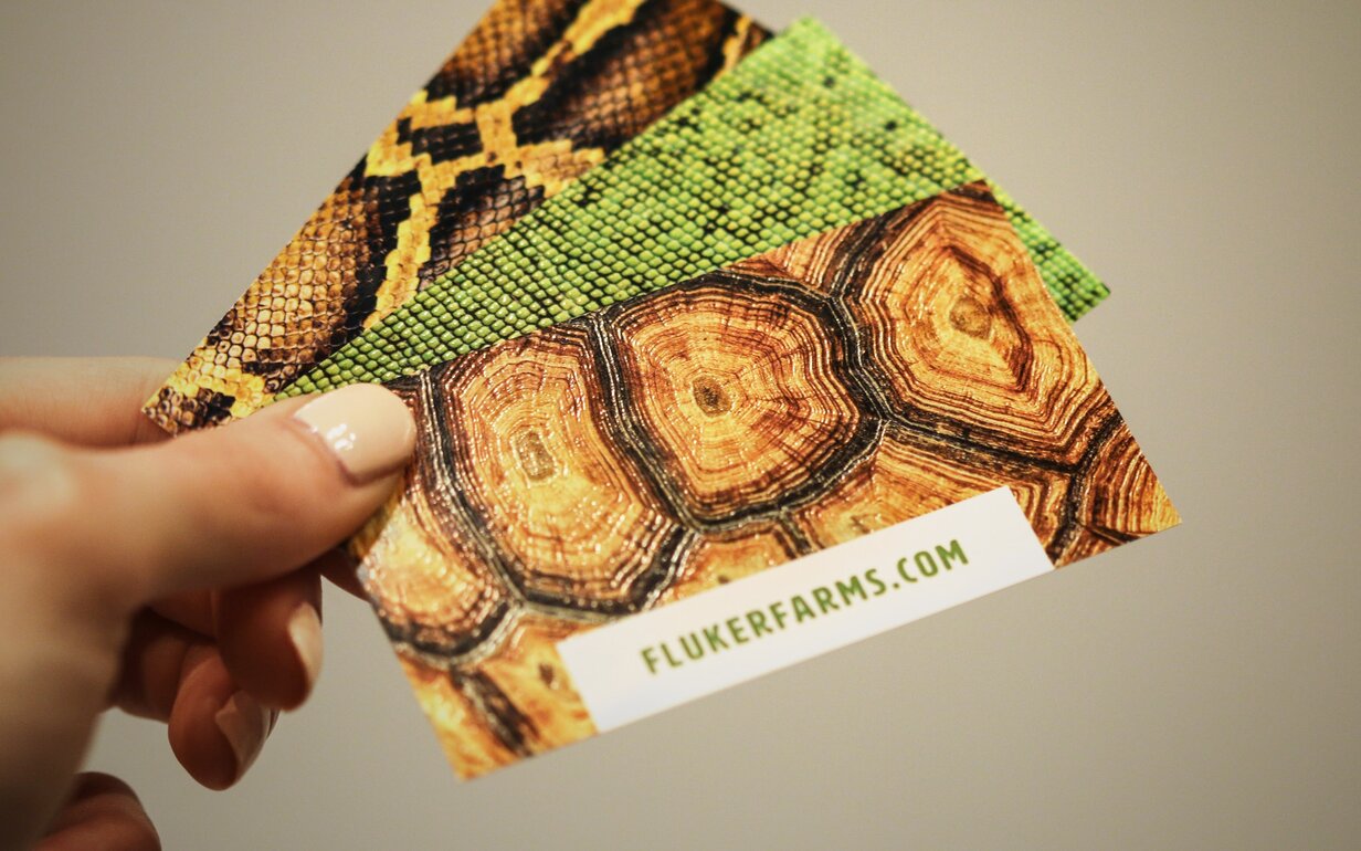 Flukers Business Cards 1 Min