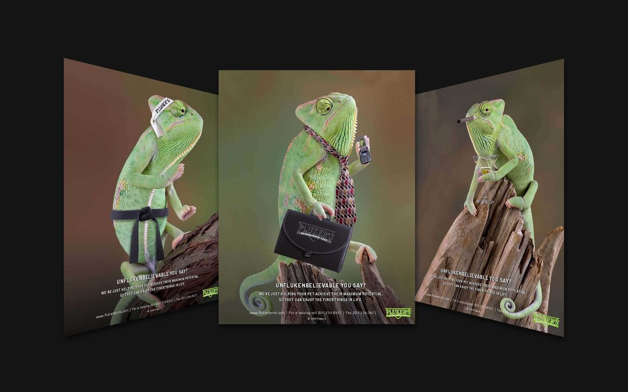 Flukers Print Ads 2 Min