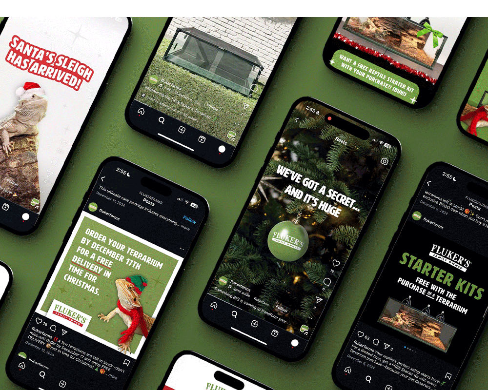 X 2024 Christmas Things Highlight BLOG