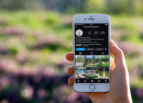 X Newsletter Newton Social Mockups