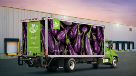 CCP Truck Eggplant