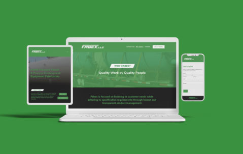 Fabex Website Mockup