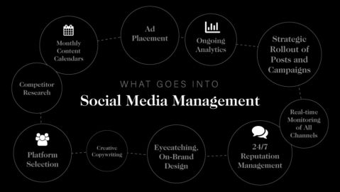 Social Media Management Services