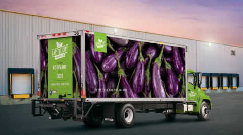 CCP Truck Eggplant 2