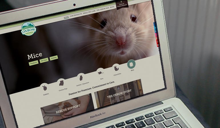 Oxbow Animal Health Website Design - Xdesign Baton Rouge